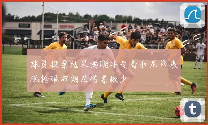 球员投票结果揭晓字母哥和尼昂表现抢眼布朗尼得票较少